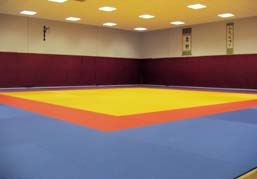 dojo mat area